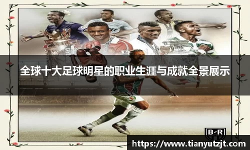 全球十大足球明星的职业生涯与成就全景展示