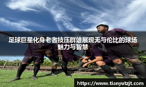 K1体育官方网站